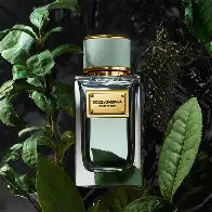 Dolce & Gabbana — Velvet Infusion EDP Decant