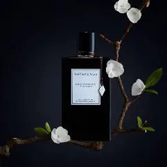 Van Cleef — Bois D'Amande Decant